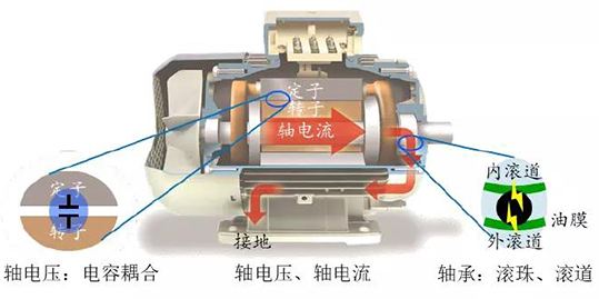 1626932837627302.jpg 1626932837627302.jpg