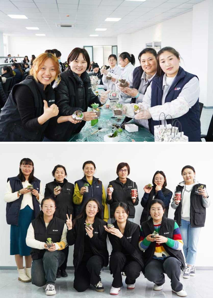 3.8 婦女節丨微景觀DIY,一起邂逅微世界里的春日—AIP艾普 3.8 婦女節丨微景觀DIY,一起邂逅微世界里的春日—AIP艾普